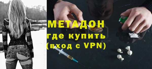 хмурый Аркадак