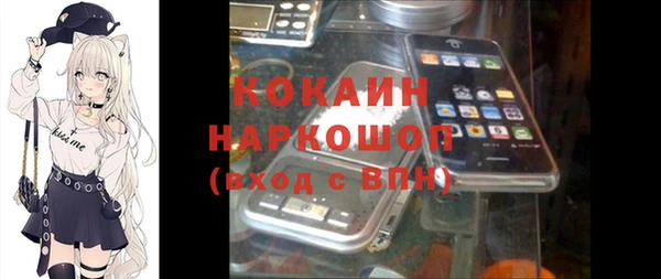 хмурый Аркадак