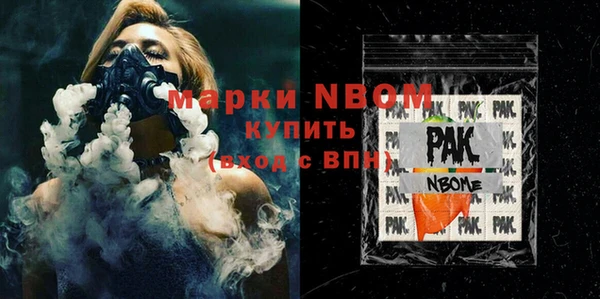 хмурый Аркадак