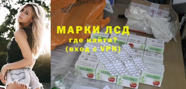 хмурый Аркадак