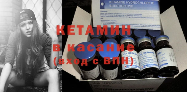 прущие грибы Армянск