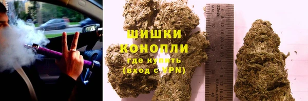 соль ск Арсеньев