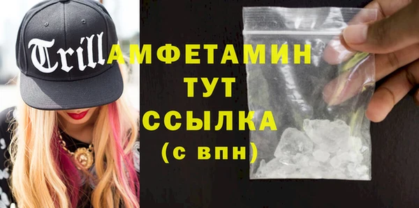 хмурый Аркадак