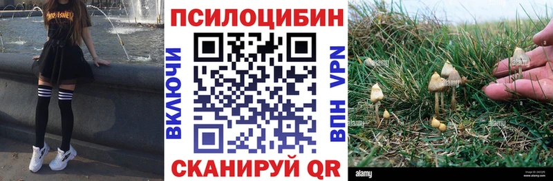 как найти   Певек  маркетплейс Telegram  Псилоцибиновые грибы MAGIC MUSHROOMS 